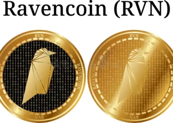 Rvn Stock Illustrations