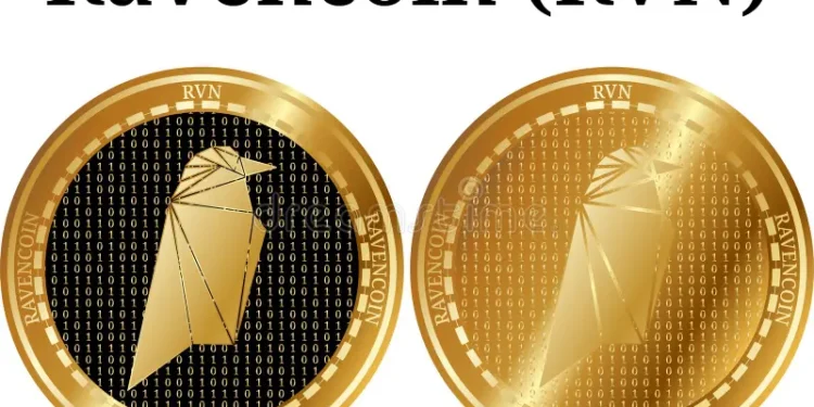 Rvn Stock Illustrations
